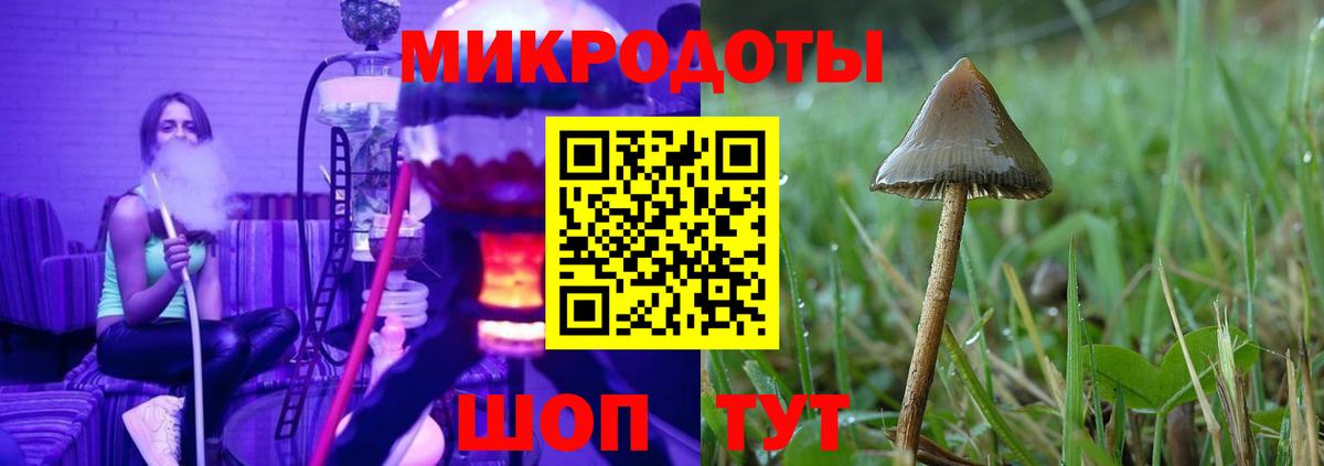 Галлюциногенные грибы прущие грибы Туймазы